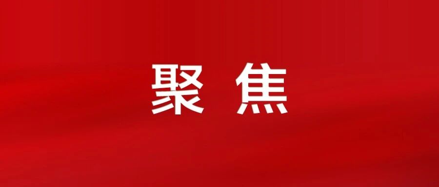 强化区域协同，增创高质量发展新优势！党的二十届四中全会精神在我市引发热烈反响