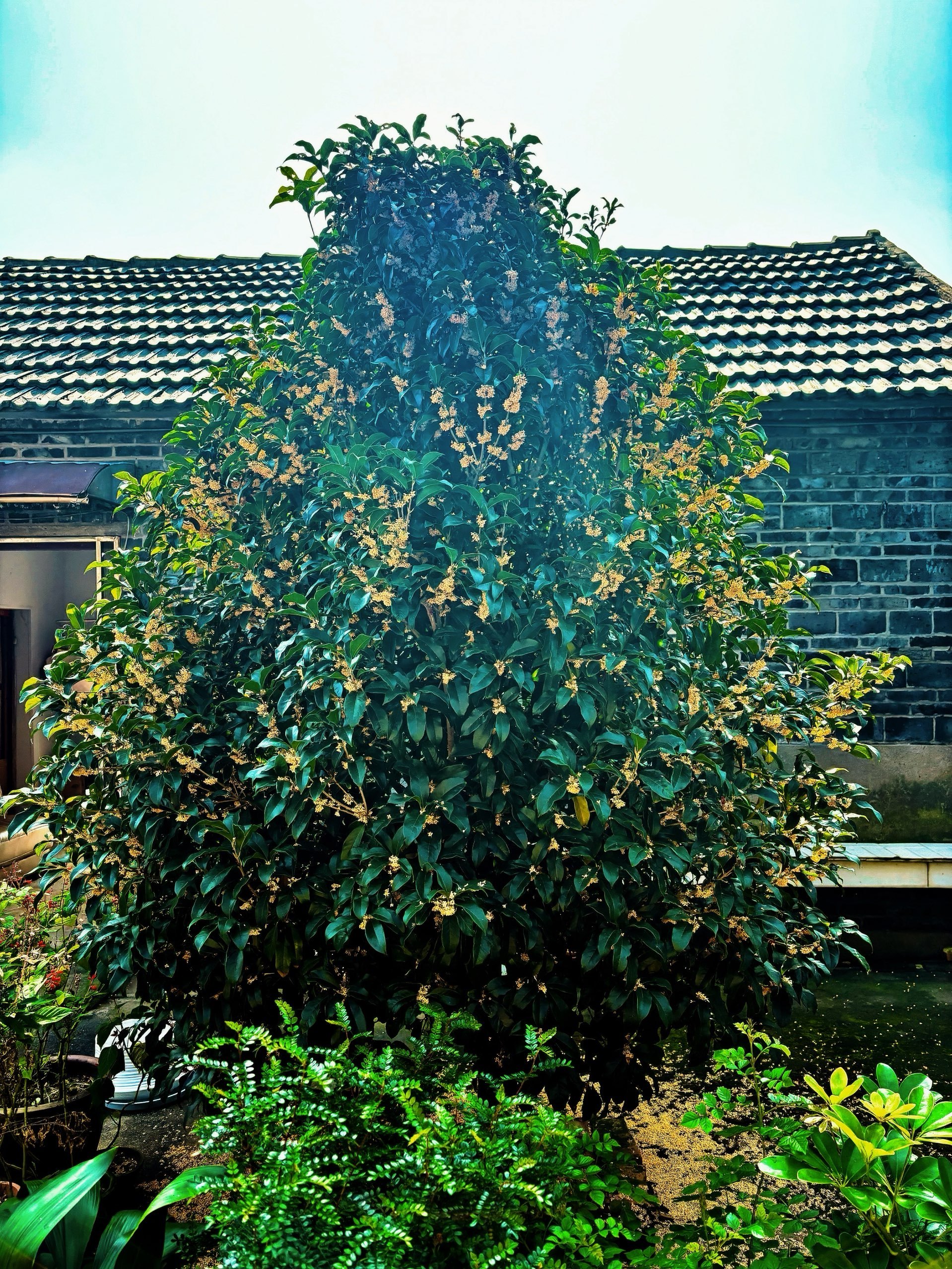 生态中国·幸福画卷丨烟火日常深处 采撷生态清欢(王坚纲)