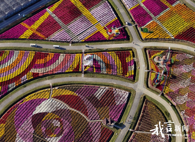 黄海森林公园金红如画