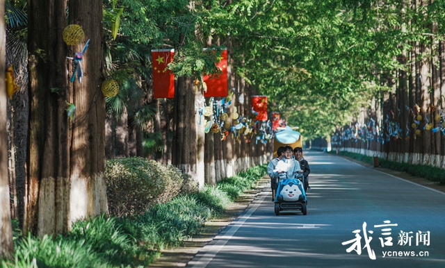 黄海森林公园金红叠翠美如画