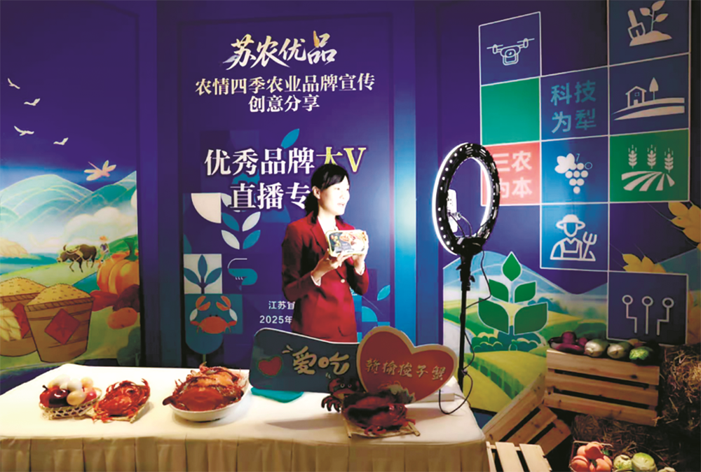 连云港：线上零售活力迸发 直播电商加速“出圈