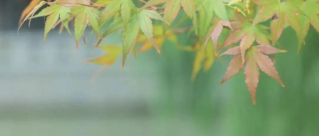 -1℃！寒潮来了！盐城气象重要报告