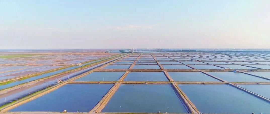 智慧渔场，在盐城！
