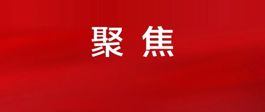 紧扣民生着力点，聚合发展新动能！党的二十届四中全会精神在我市引发热烈反响