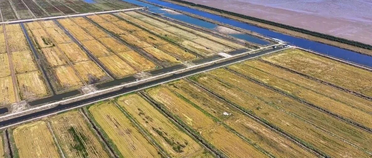 破“碱”，重生！