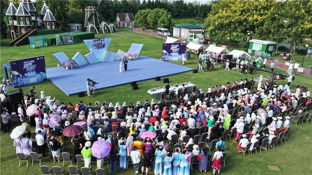 荷兰花海借势“轻舟计划”，晋升影视创作新热土