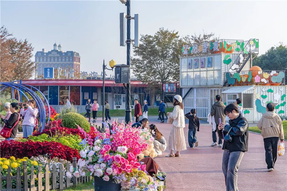 荷兰花海解锁多重游玩新体验