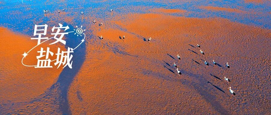 东兴高速，最新进展！