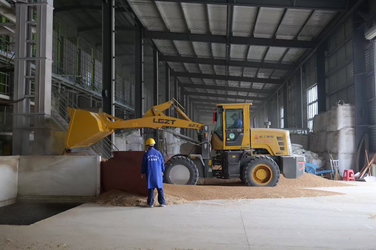 楼王镇秋收秋种图景：颗粒归仓 抢种续耕