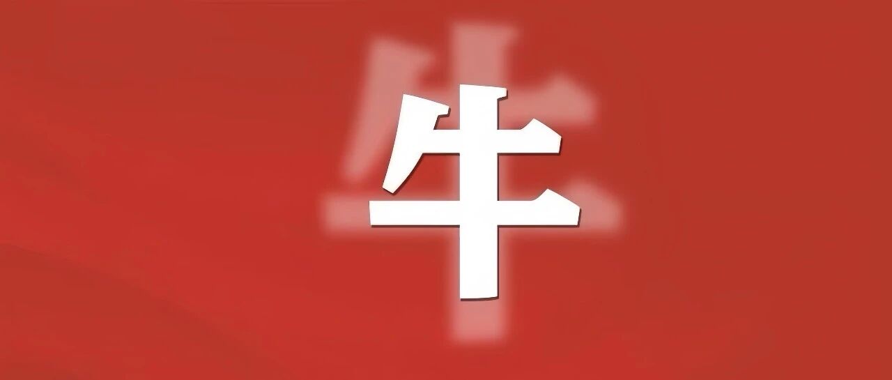 国际标准颁布，盐城这家企业主导制定！