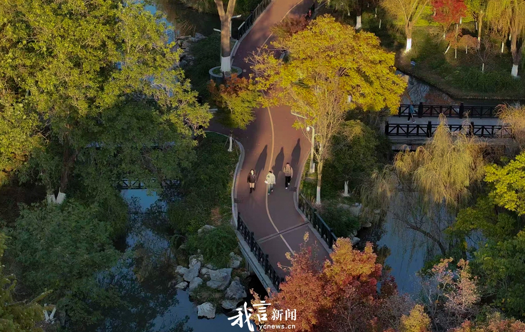 五彩缤纷的初冬