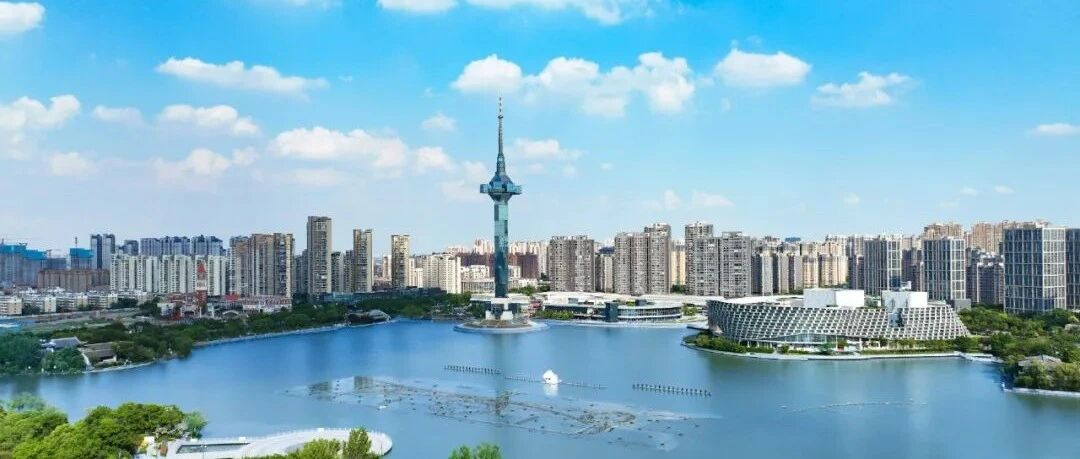 百花齐放！盐城又圈粉了