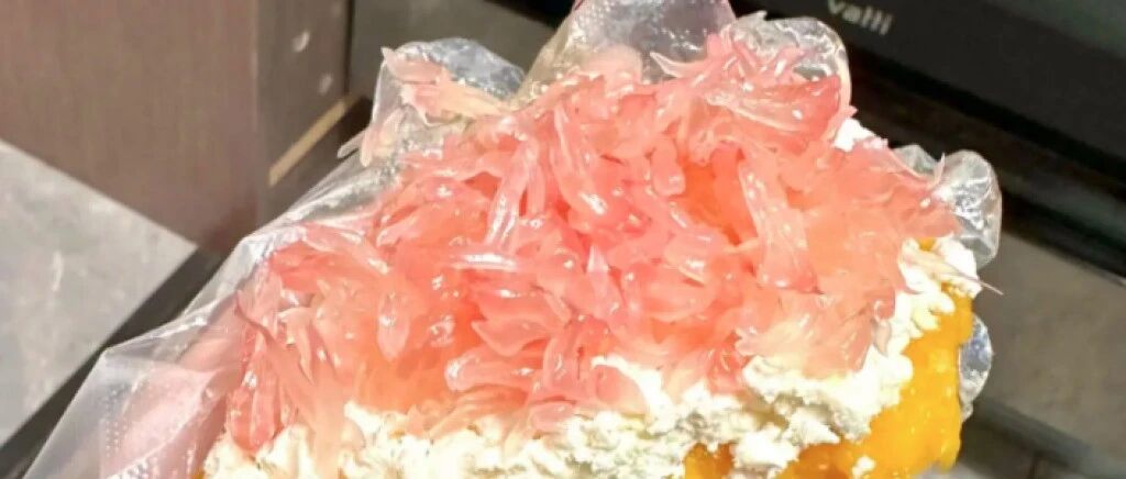 “固体杨枝甘露”爆火，第一批受害者出现了