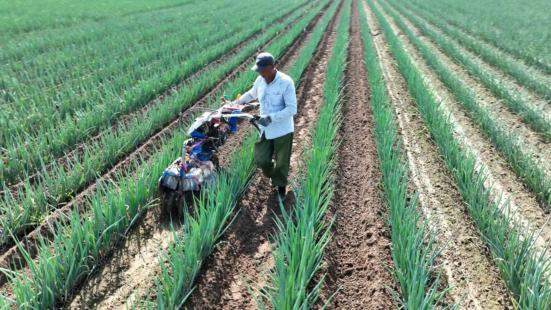 振兴路上丨盐城大丰万盈镇:三份“答卷”践初心