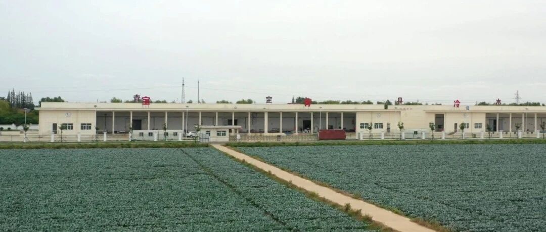 四村联建，破解“锁鲜”难题！