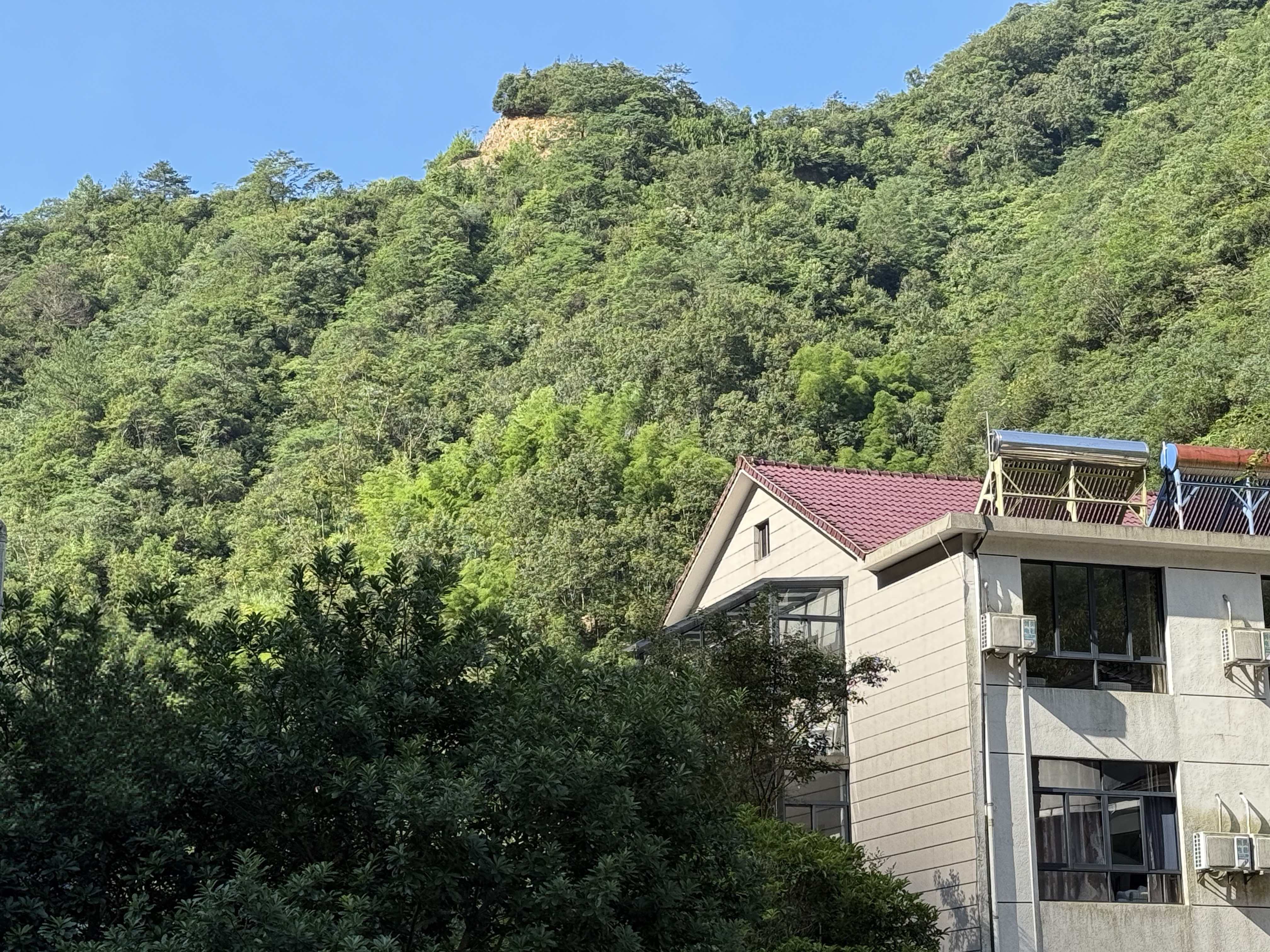 生态中国·幸福画卷丨碧水映两山 九寨藏天地(张荣堃)