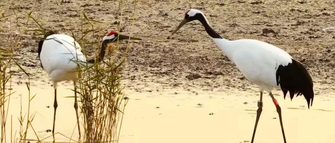 编号YC257，这次把对象带回盐城了