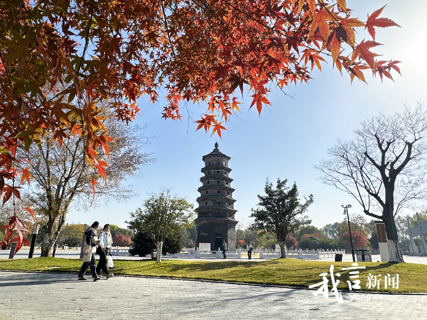 千年古塔与斑斓树木的浪漫邂逅