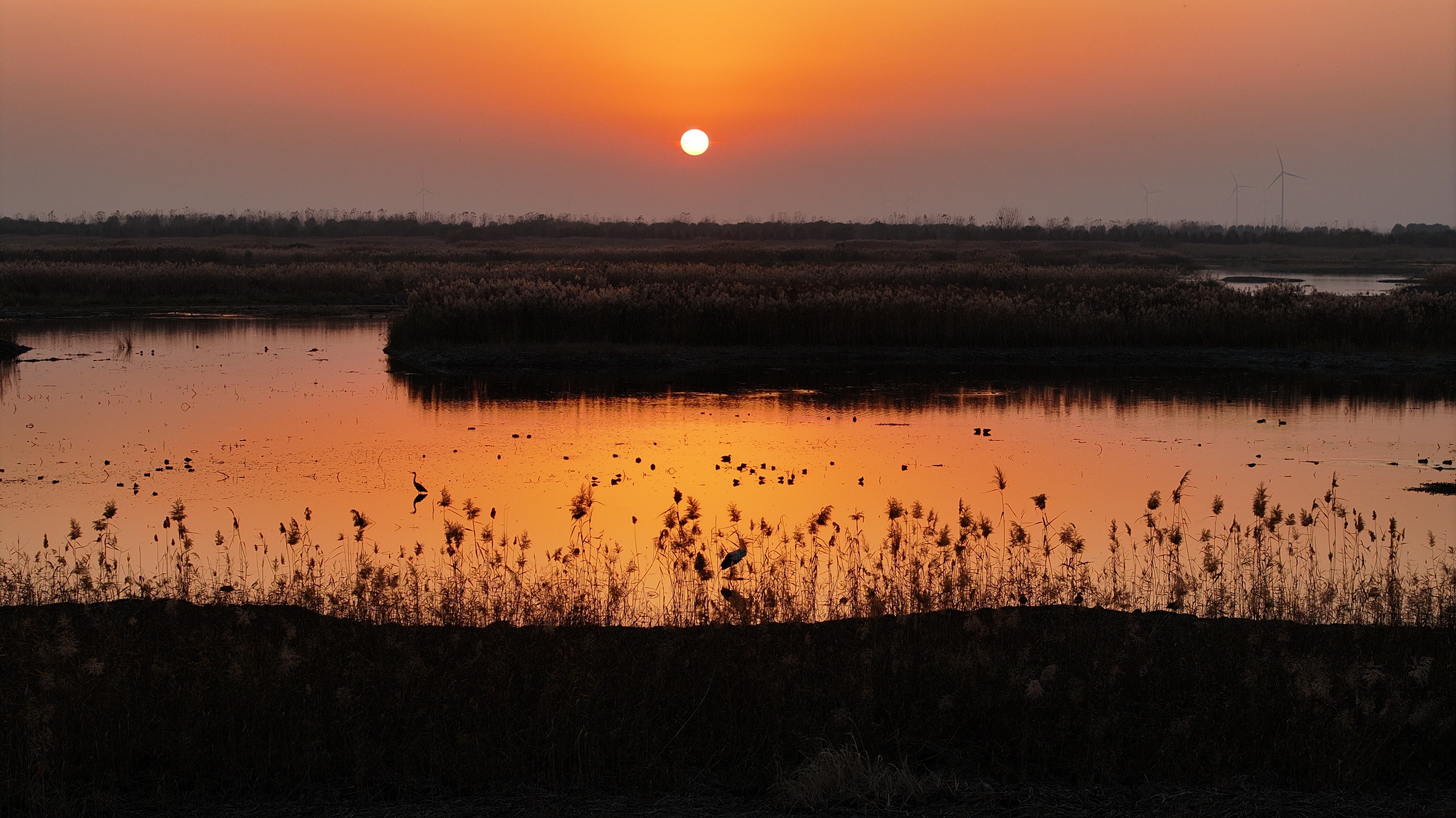 我和九龙口有个约会