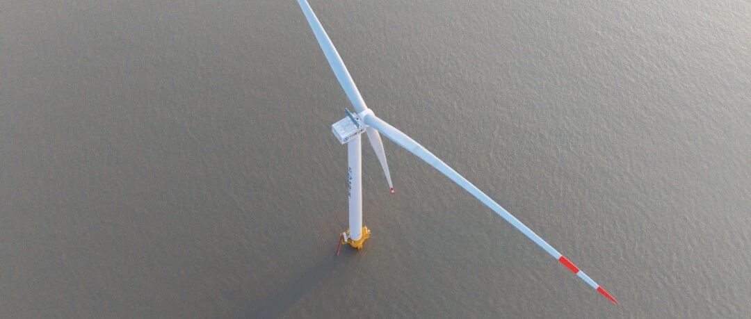 就在盐城！江苏最大“风车”转起来了