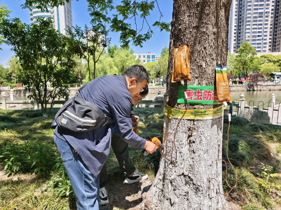 市住建局 多措并举守护城市绿色生态