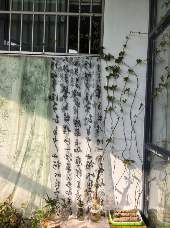 生态中国·幸福画卷丨山药藤里的生态微光(芦燕)