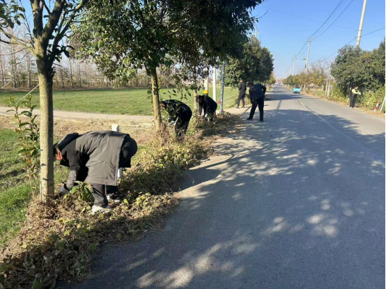 楼王镇凤南村：清盲区除杂草，铺就群众“舒心路”