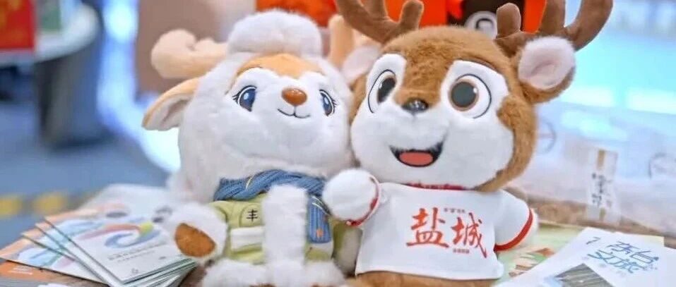 2025旅交会，“NICE 盐城”惊艳亮相！