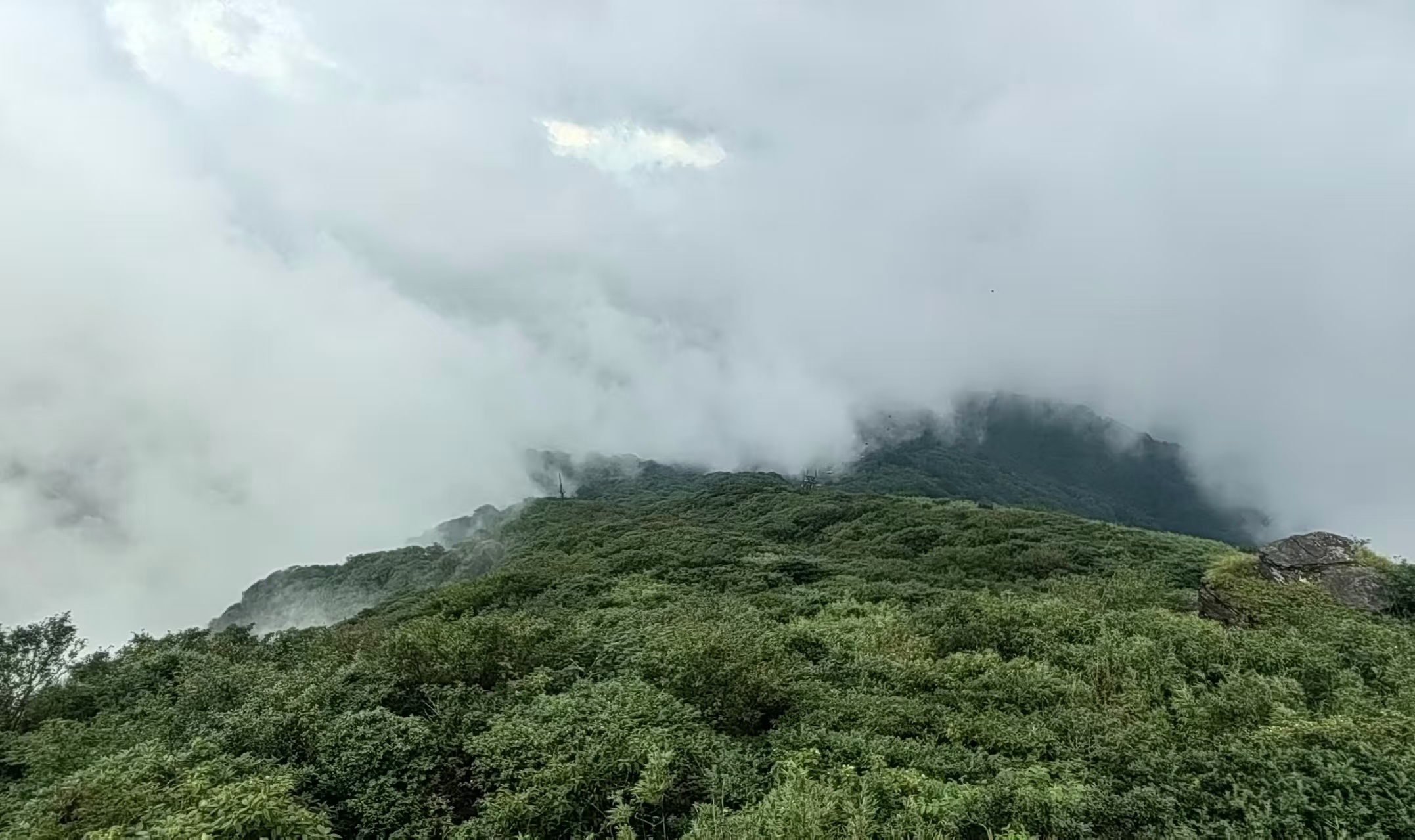 生态中国·幸福画卷丨梵净山行记 生态画卷美(周静)