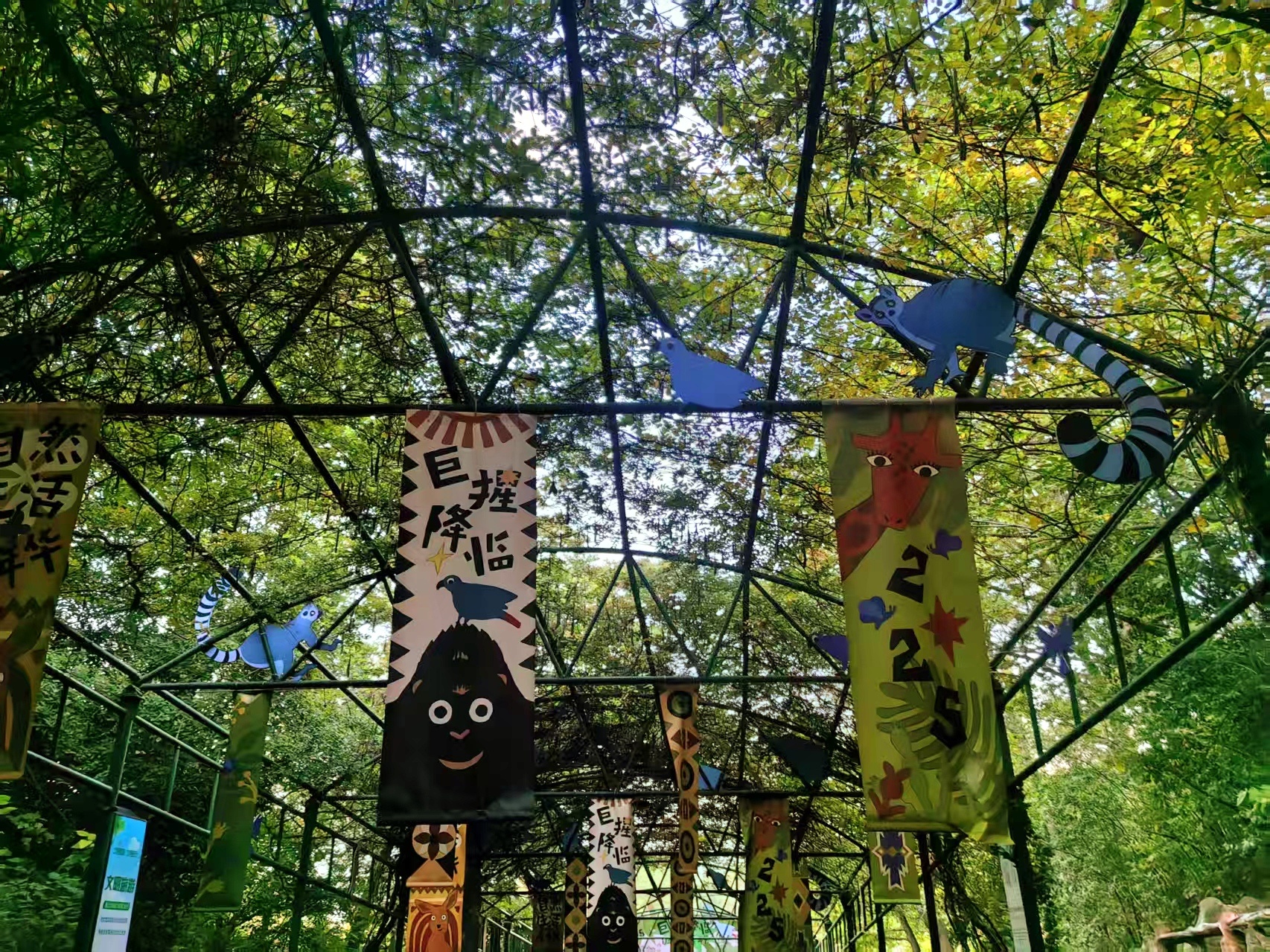 生态中国·幸福画卷丨邻青山而生万物,栖生命以筑桃源(高旻烨)