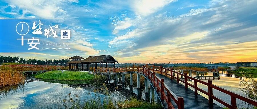 射阳至盐城高速公路通过竣工验收