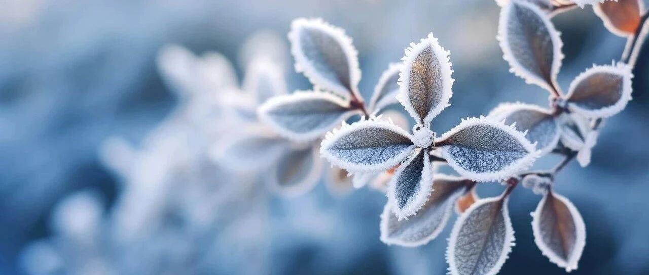 盐城要下雪了！