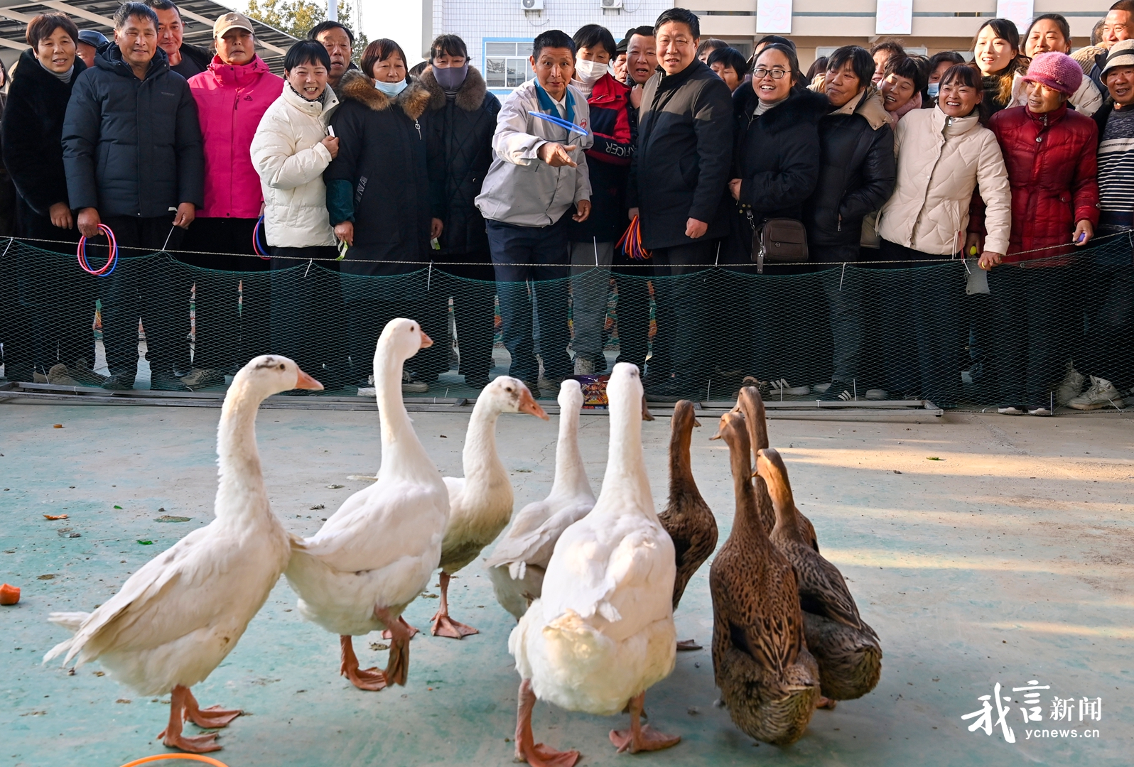 热闹的农民趣味运动会