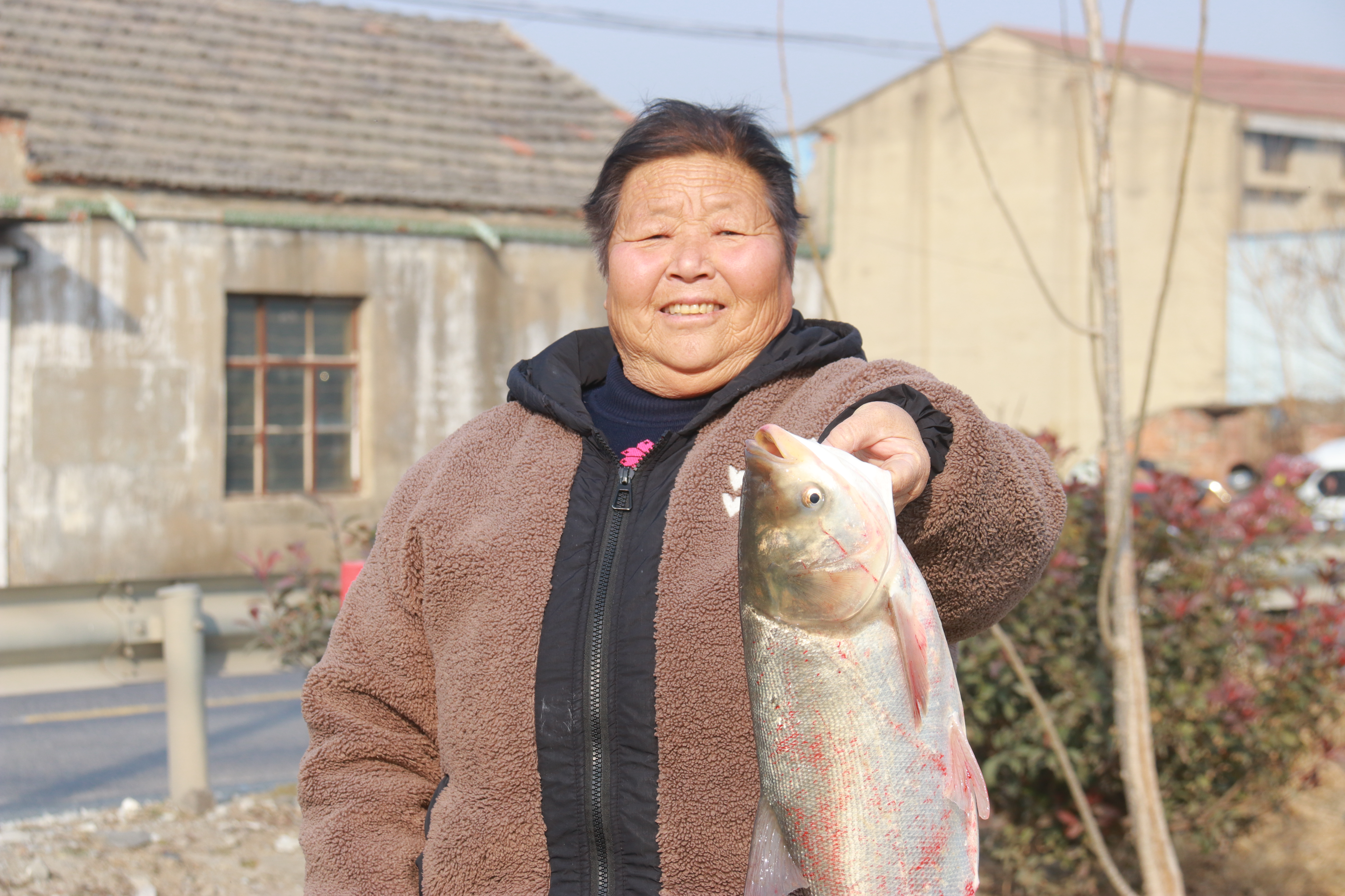 西团镇众心村：养河显成效 鱼肥年味浓