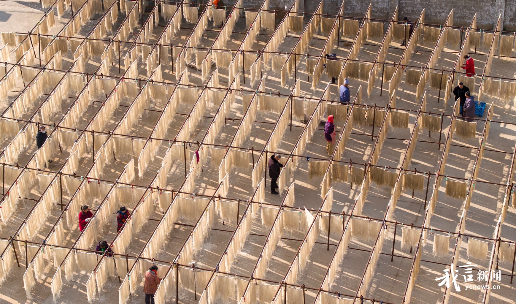 红薯粉丝加工忙