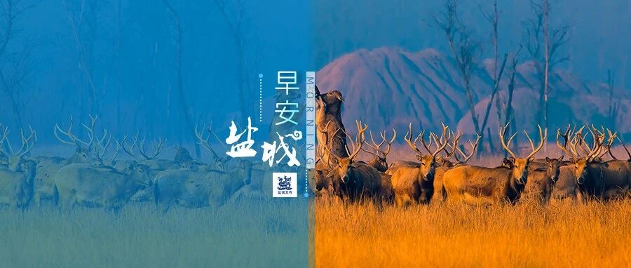 盐城举办迎新春高校毕业生专场招聘会