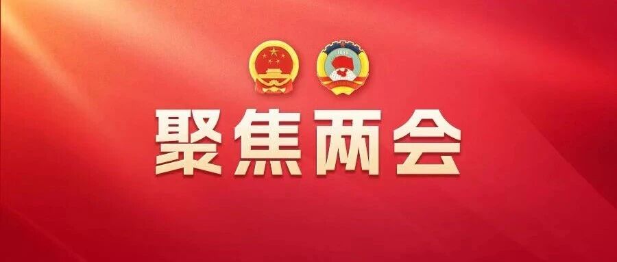 直通2026江苏两会丨聚焦文旅发展、非遗传承、教育供给......住盐省政协委员这样说→