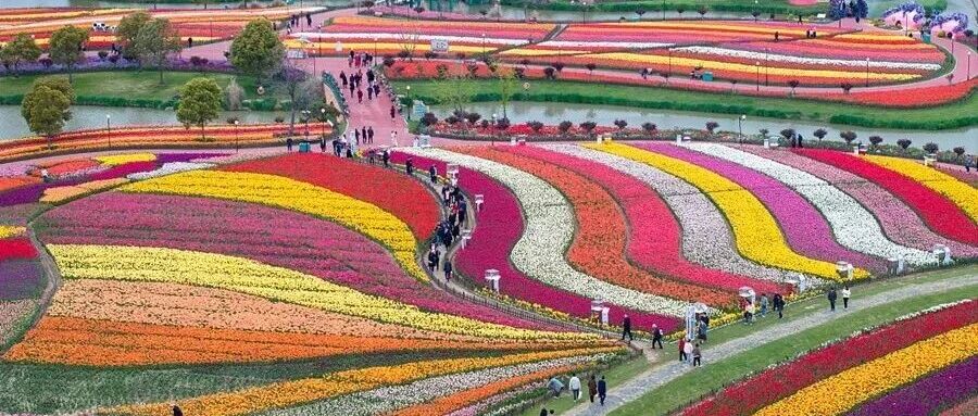 今天4时01分，盐城正式进入！