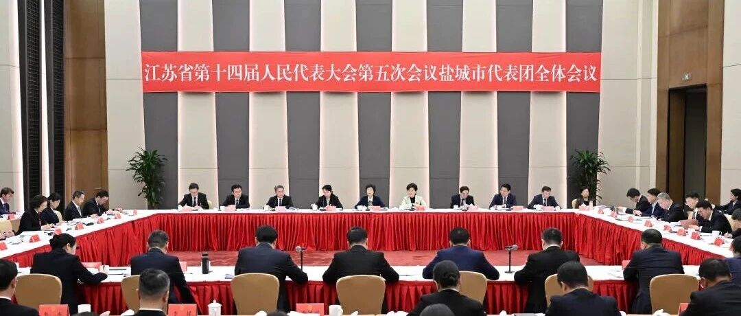 盐城市代表团集中审议省政府工作报告