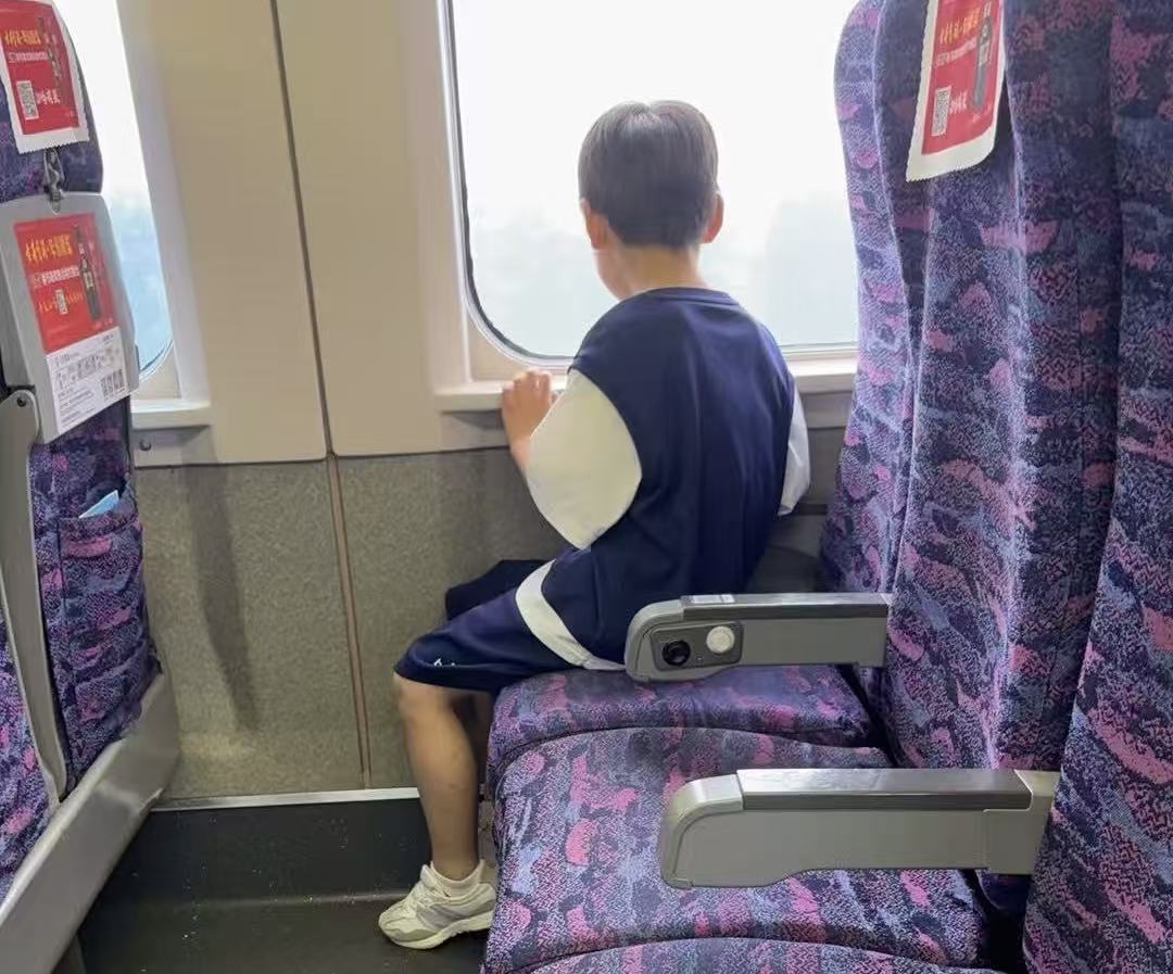 铁路上的风景丨飞驰的窗口,流动的史诗(戴晓磊)