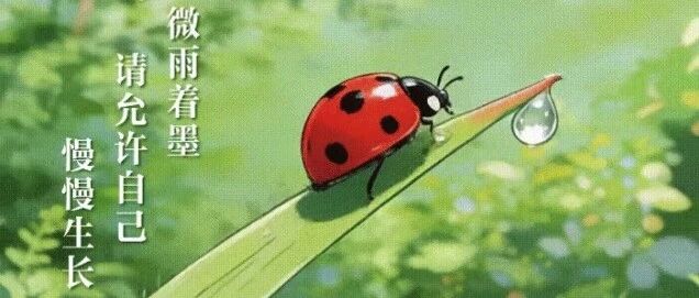 今天不只是大年初二，还是……