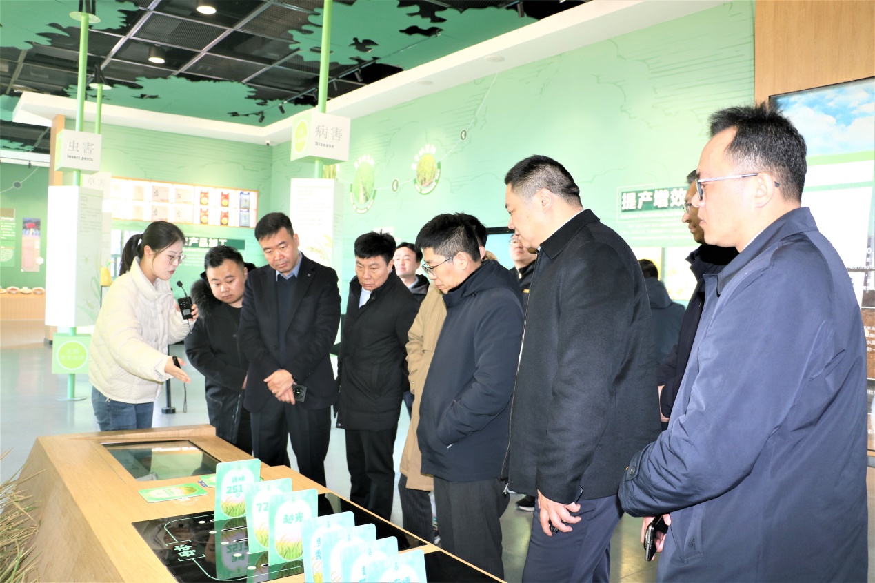 乡情联谊话发展 共绘高作新蓝图——高作镇2026年春节联谊活动侧记