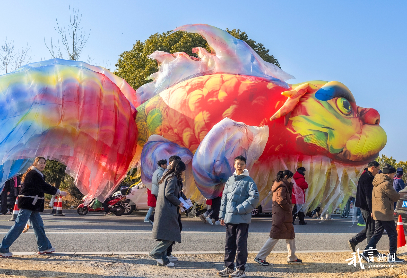 “苏苏福福”过大年，龙马精神九龙口