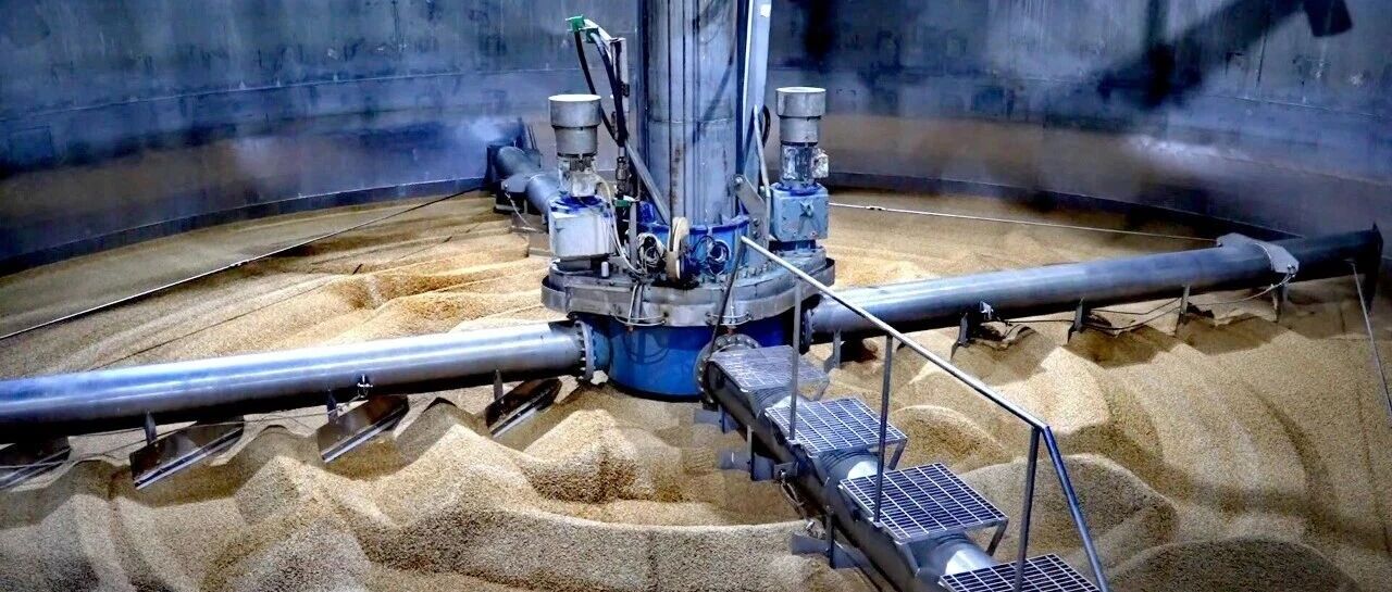 新春走基层｜金麦飘香年味浓