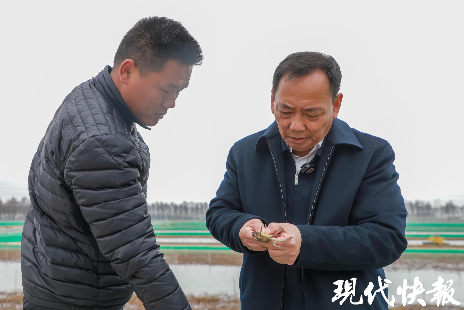 向总书记报告｜全国人大代表邢青松：未来瞄准订单农业，让老百姓丰产丰收