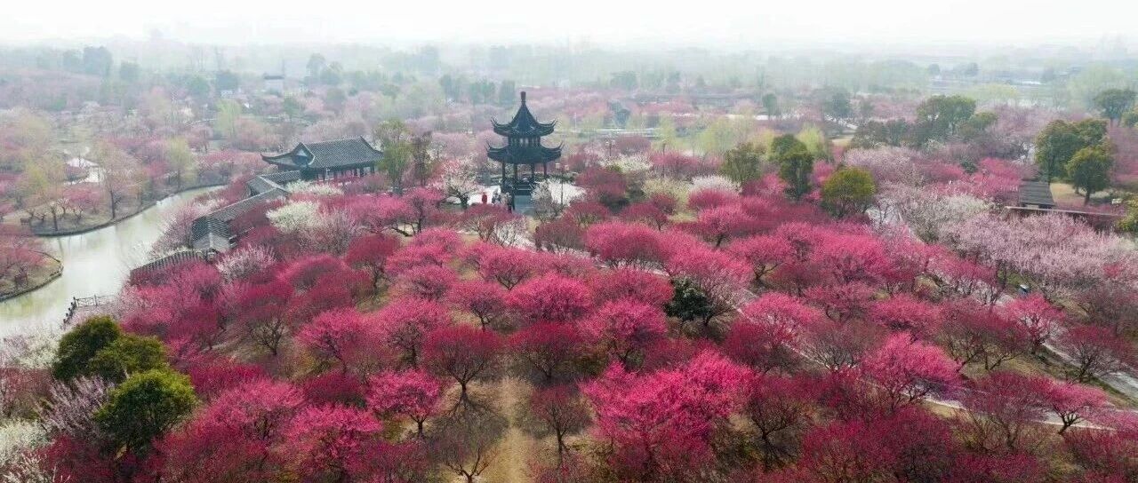 ↘-3℃ ↗17℃！盐城接下来……