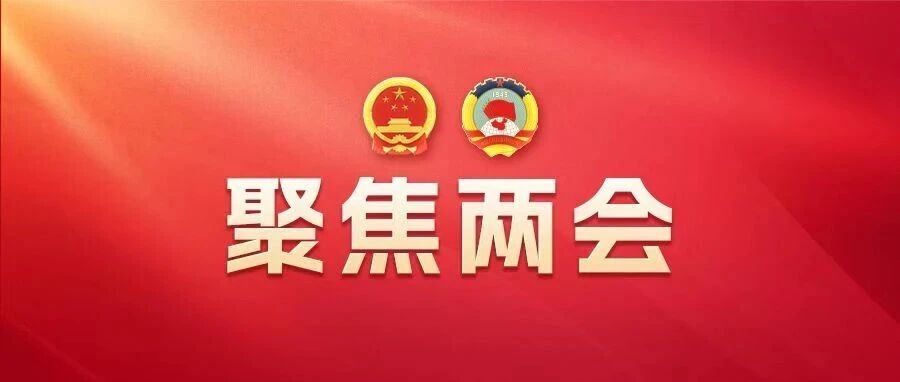 我市代表审议全国人大常委会工作报告