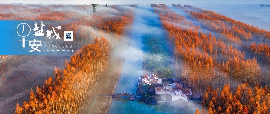 多部短剧火热开机上线！