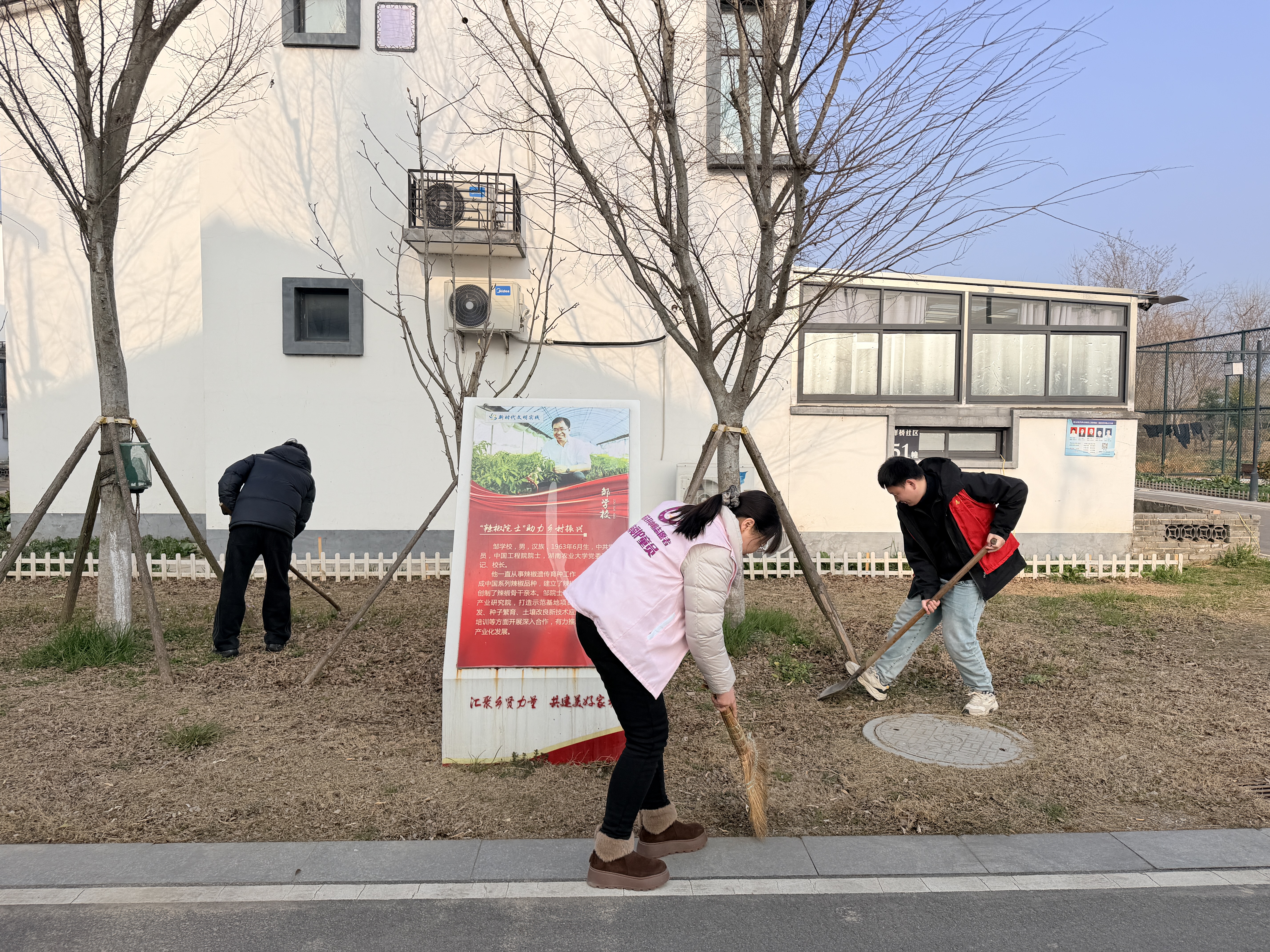 盐东镇洋桥村：植树添新绿 护绿正当时
