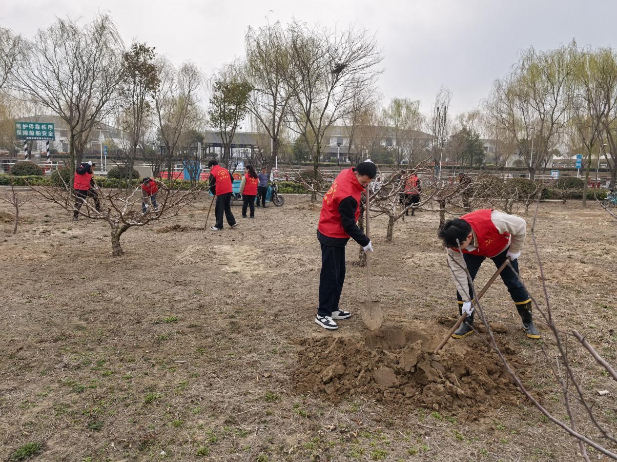 盐城港航滨海船闸开展植树活动